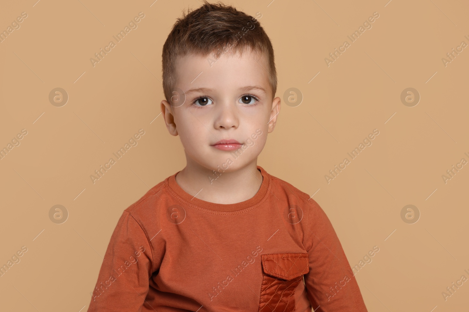 Photo of Portrait of cute little boy on pale background