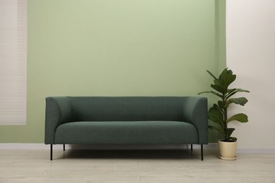 Photo of Stylish sofa and houseplant near green wall indoors