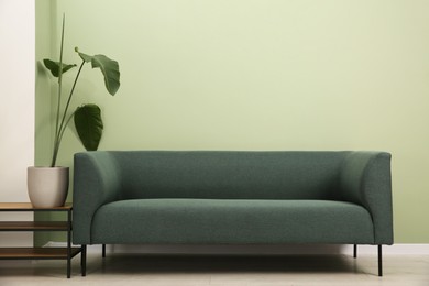 Stylish sofa and houseplant near green wall indoors