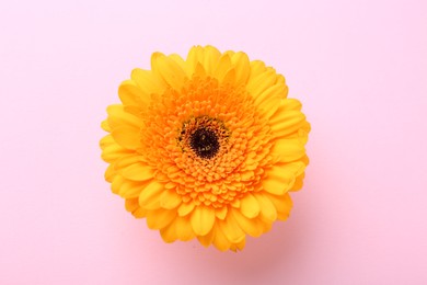 Photo of Beautiful yellow gerbera flower on pink background, top view