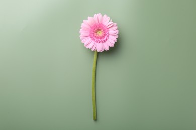 Photo of Beautiful pink gerbera flower on pale green background, top view