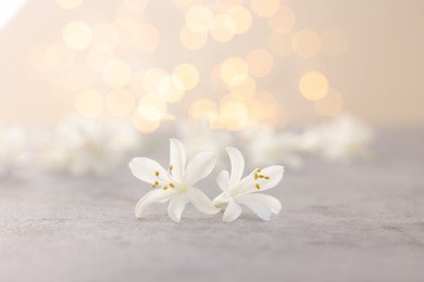 Photo of Beautiful jasmine flowers on grey surface against light background with blurred lights, closeup