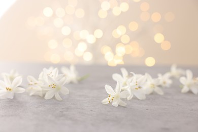 Photo of Beautiful jasmine flowers on grey surface against beige background with blurred lights, closeup