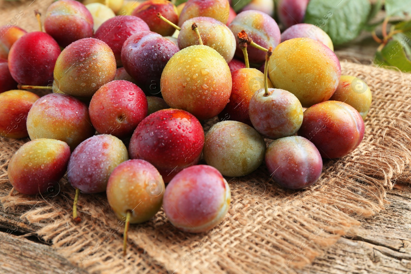 Photo of Pile of tasty ripe plums on table, closeup