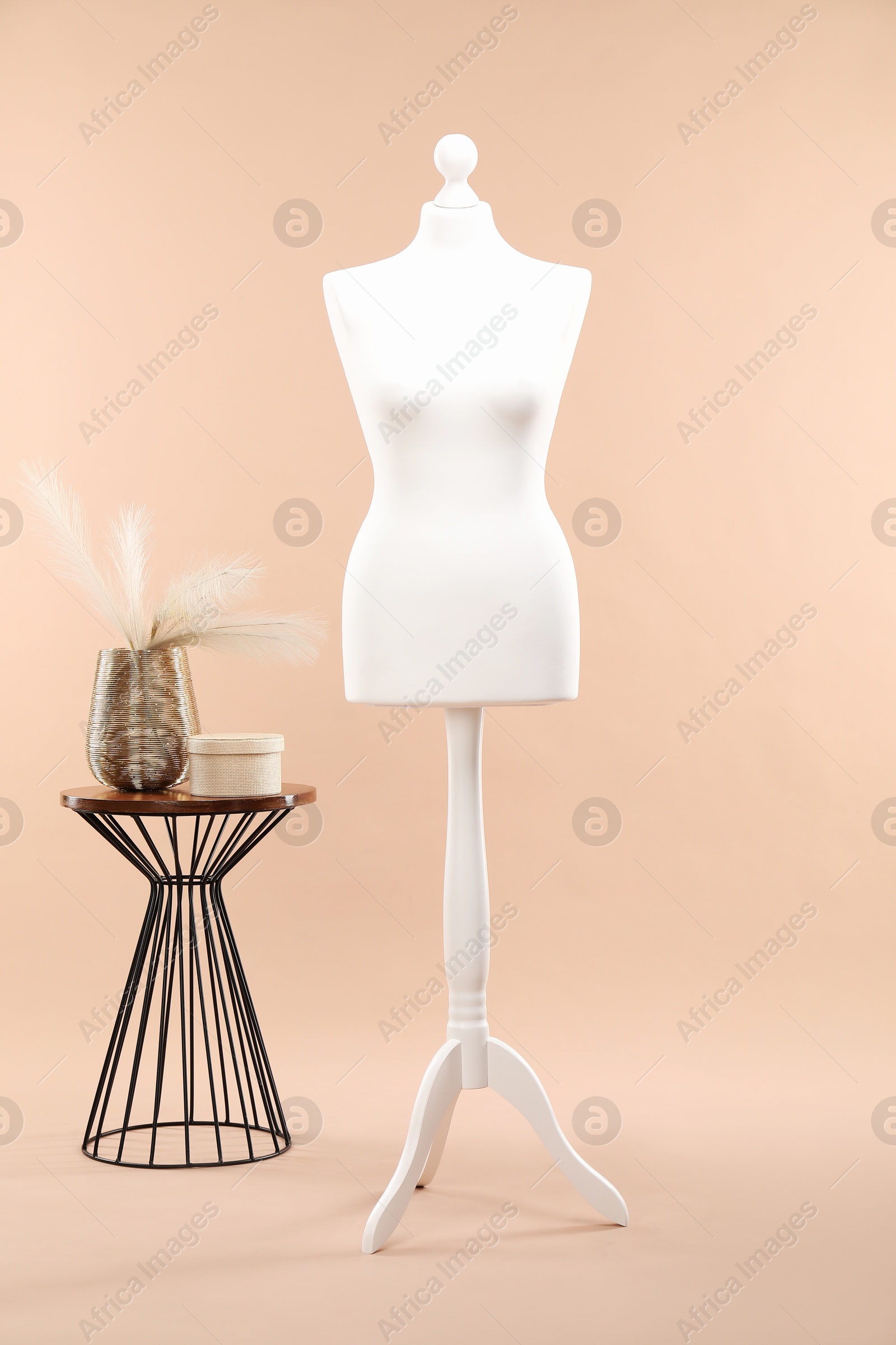 Photo of One female mannequin on stand and coffee table with decorative plants and round box against beige background