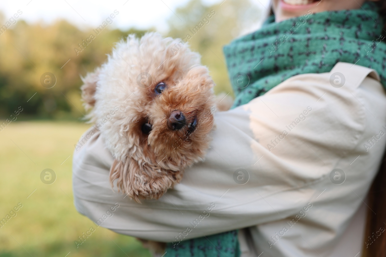 Photo of Woman with her cute dog outdoors, closeup