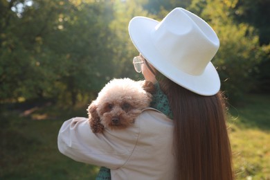 Photo of Woman with cute dog in autumn park on sunny day, back view