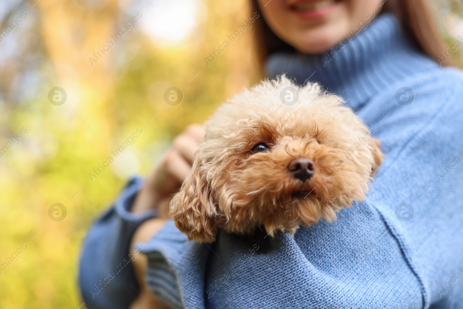 Photo of Woman with cute dog outdoors, closeup. Space for text