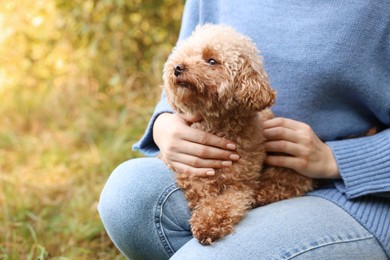 Woman with cute dog outdoors, closeup. Space for text