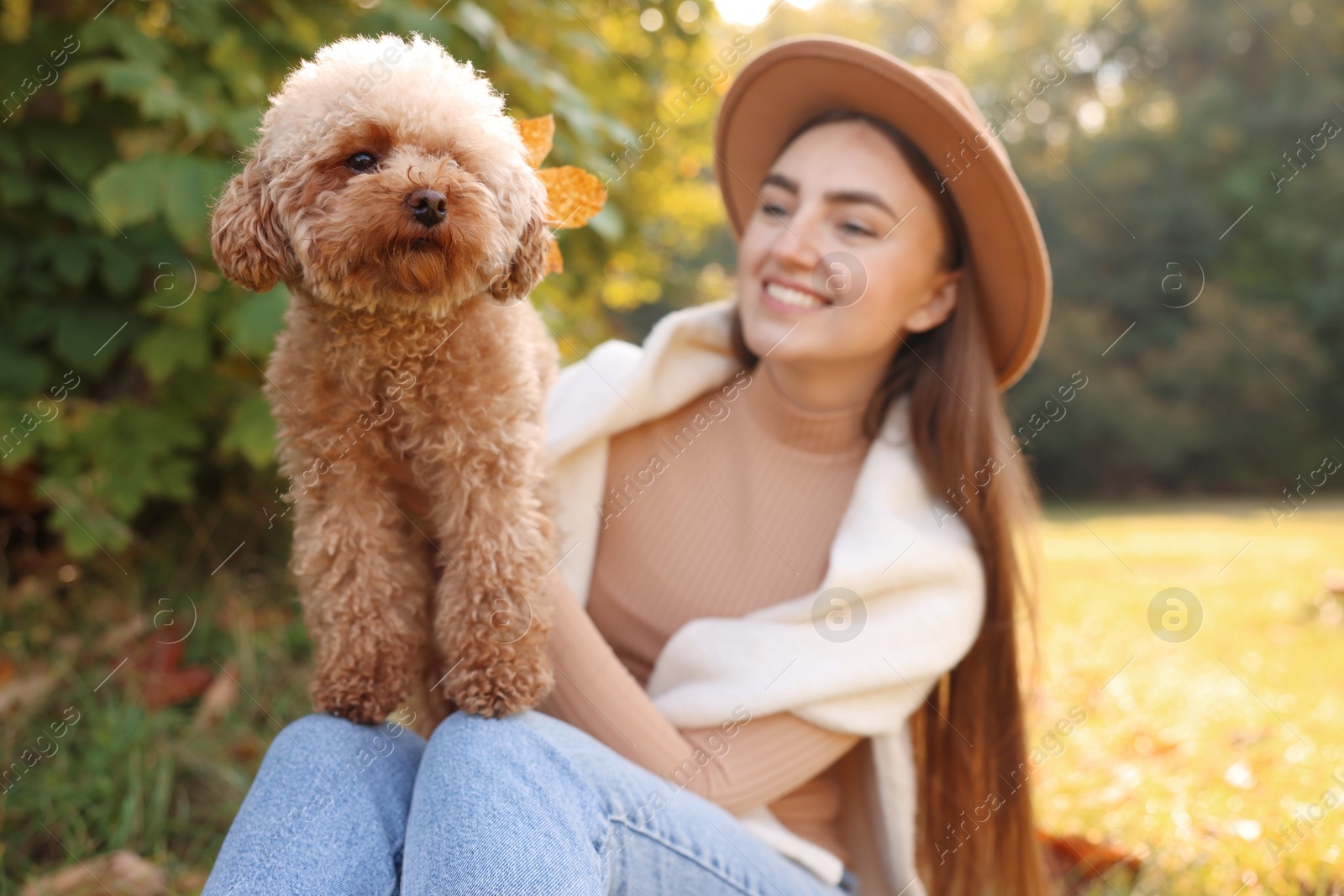 Photo of Smiling woman with cute dog in autumn park, selective focus