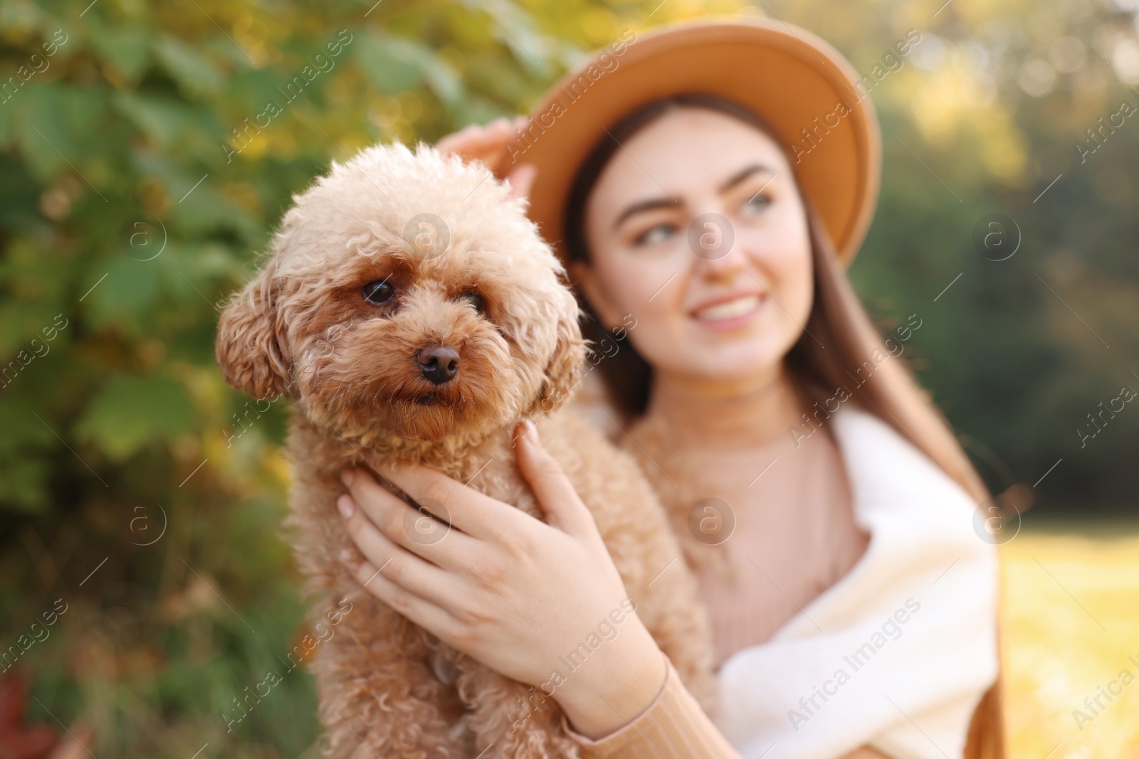 Photo of Smiling woman with cute dog in autumn park, selective focus