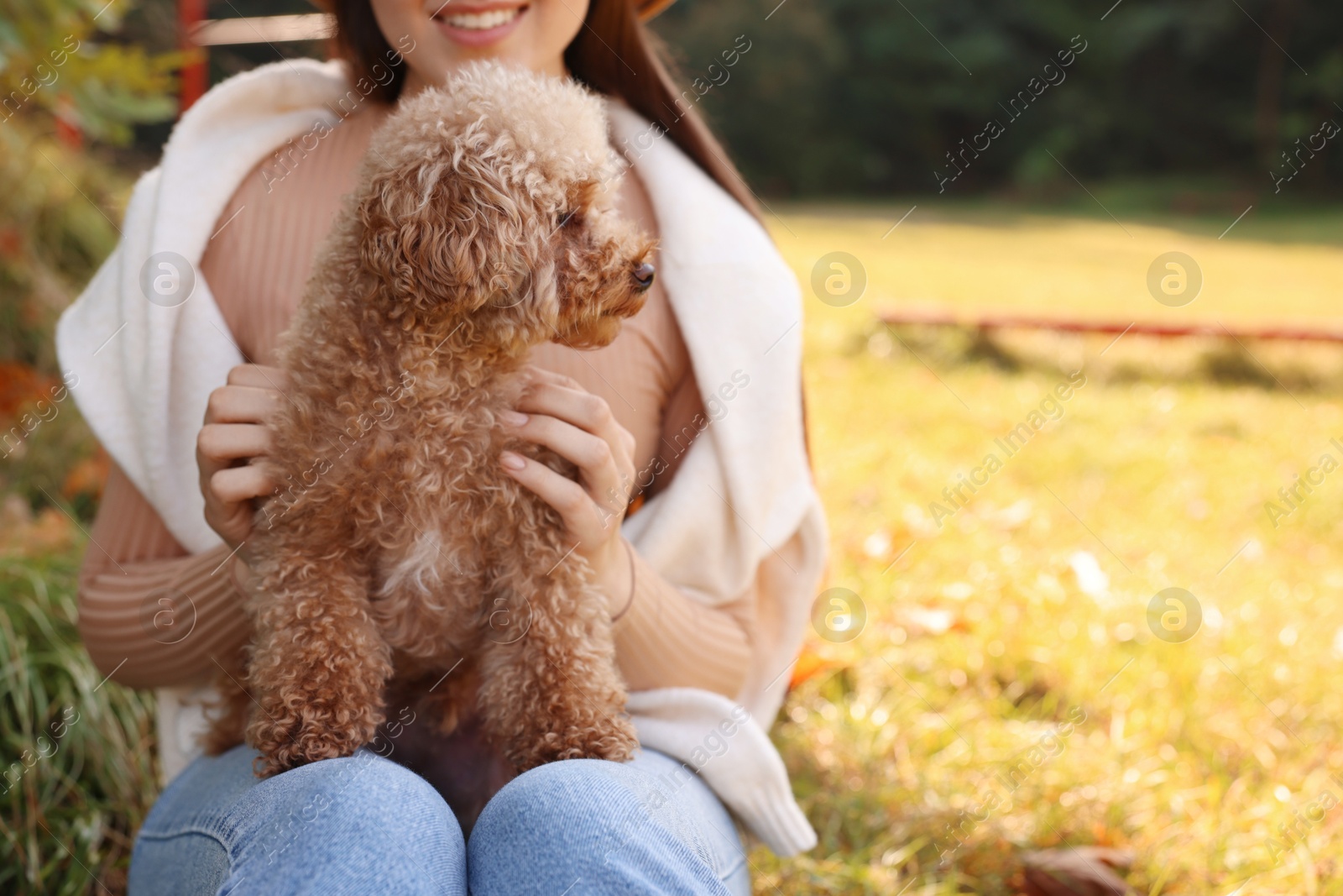 Photo of Smiling woman with cute dog in autumn park, closeup. Space for text