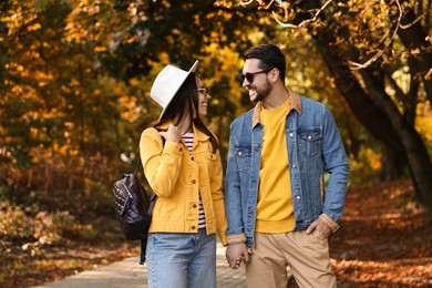 Beautiful couple walking together in autumn park