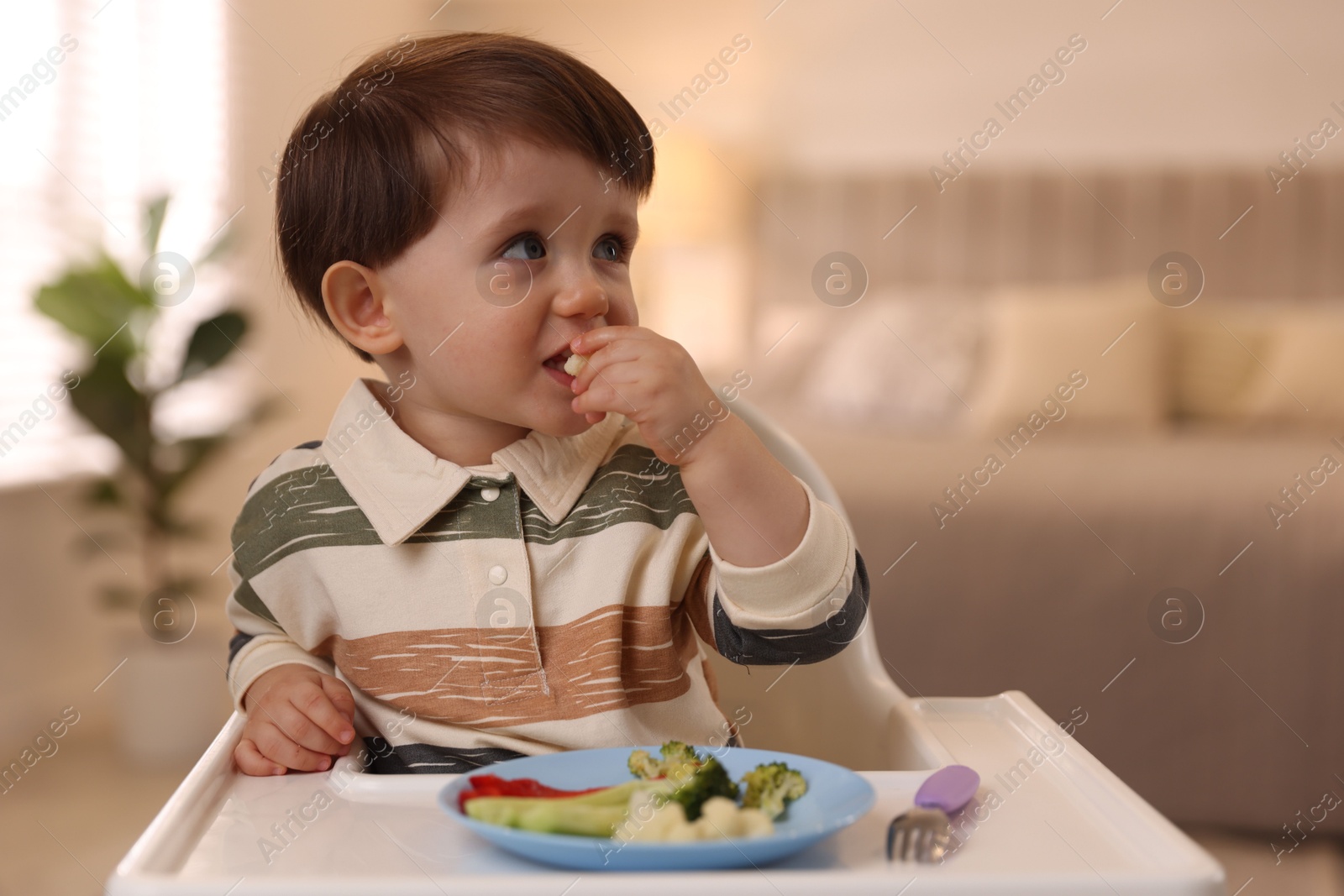 Photo of Cute little baby eating healthy food in high chair at home