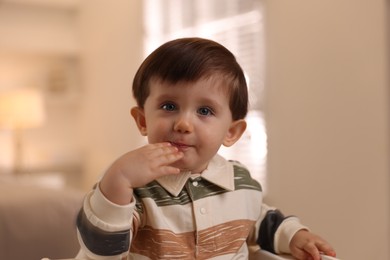 Cute little baby eating healthy food in high chair at home