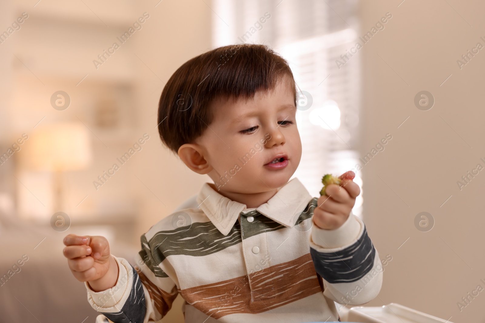 Photo of Cute little baby eating healthy food in high chair at home