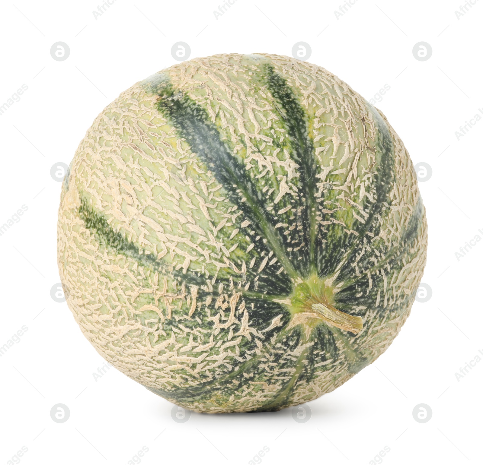 Photo of One whole Cantaloupe melon isolated on white