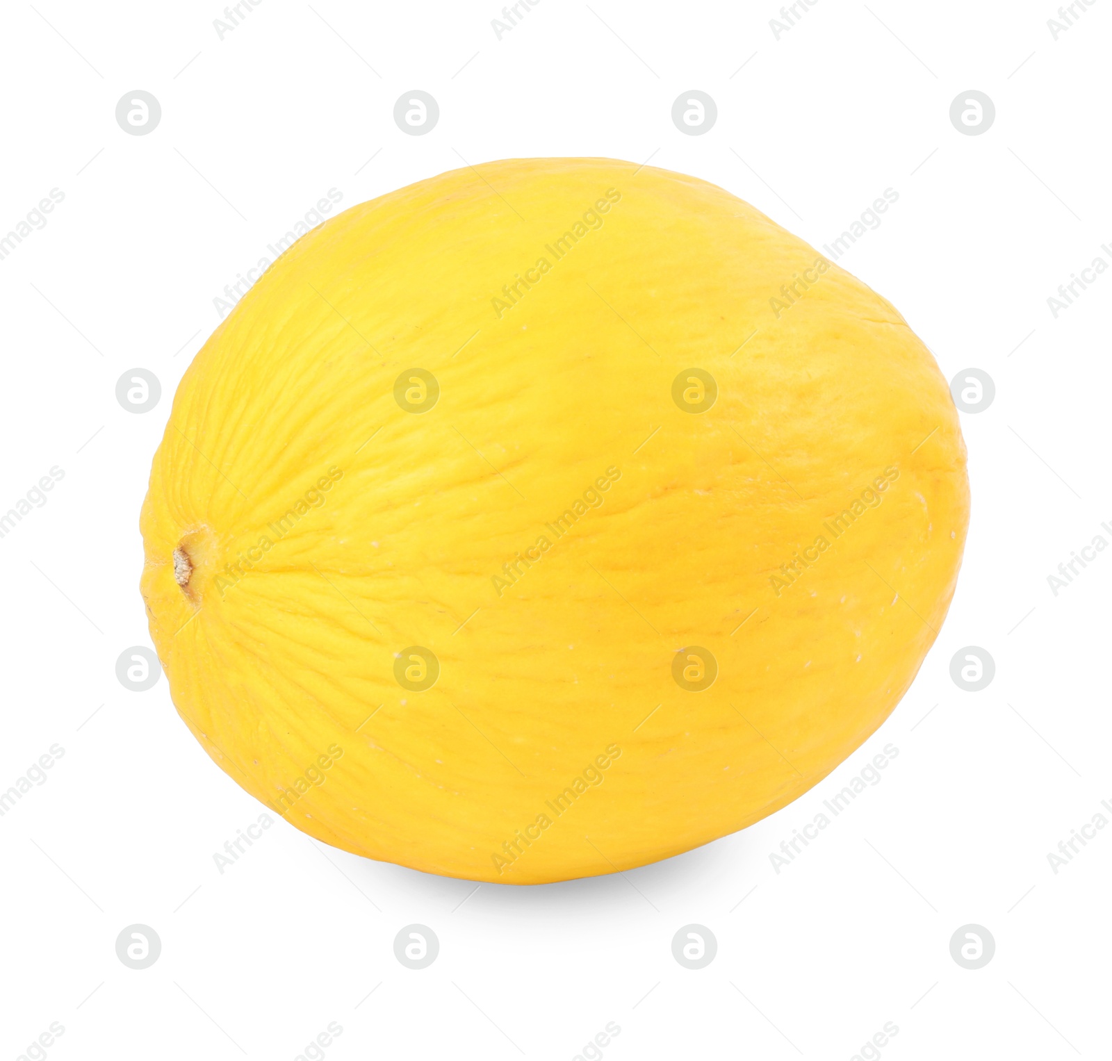 Photo of One whole ripe melon isolated on white