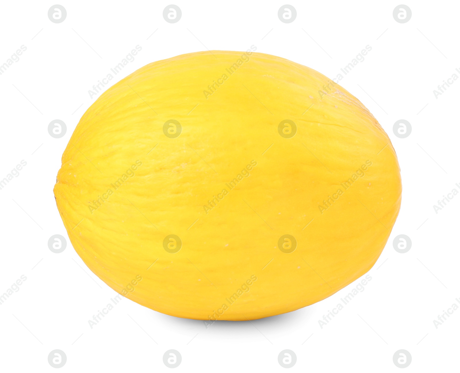 Photo of One whole ripe melon isolated on white