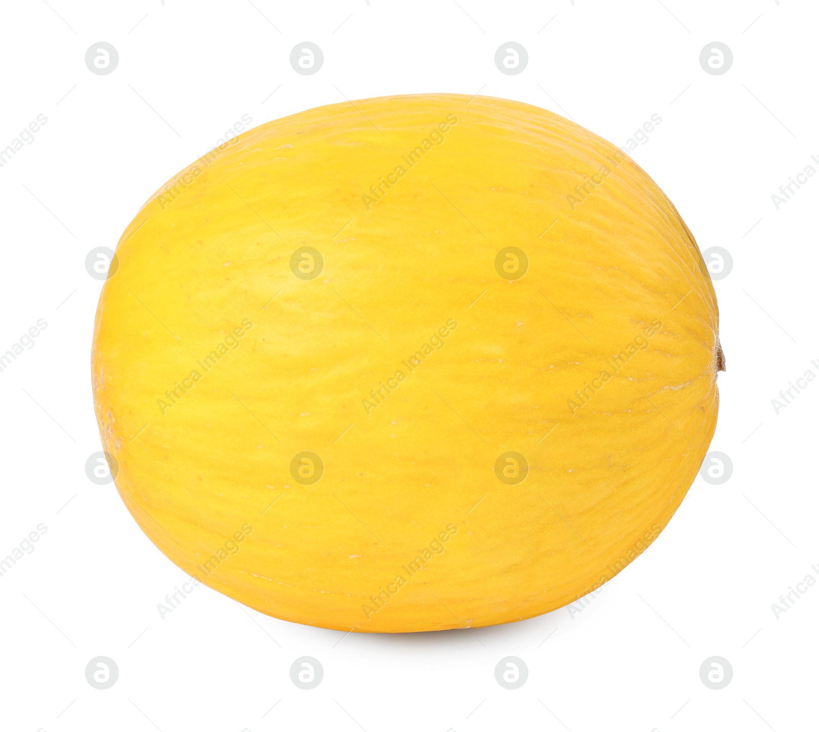 Photo of One whole ripe melon isolated on white