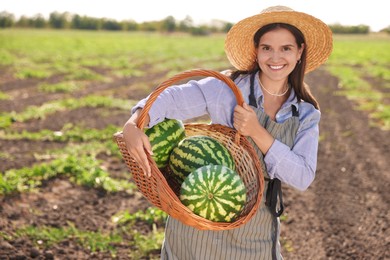 Woman holding wicker basket with ripe watermelons in field