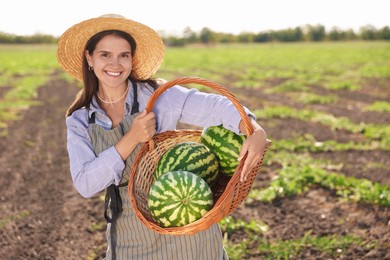 Woman holding wicker basket with ripe watermelons in field