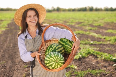 Photo of Woman holding wicker basket with ripe watermelons in field