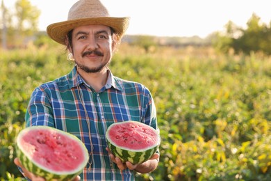 Photo of Man with halves of ripe watermelon in field on sunny day