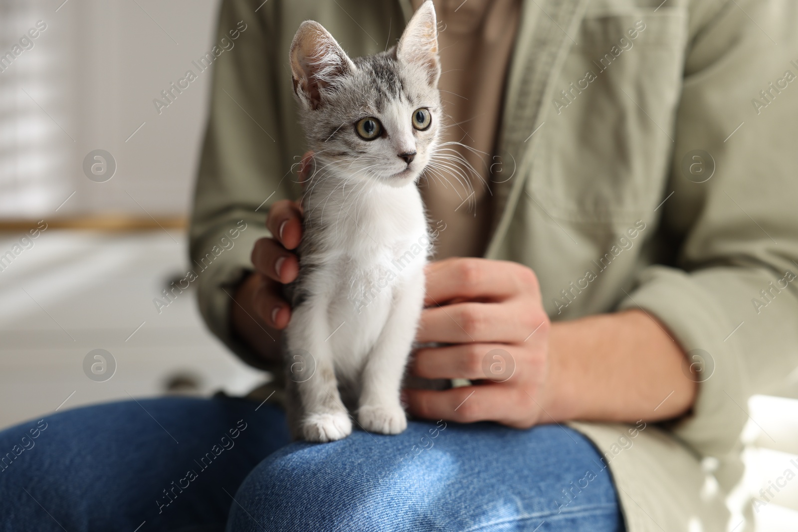 Photo of Man with cute kitten at home, closeup