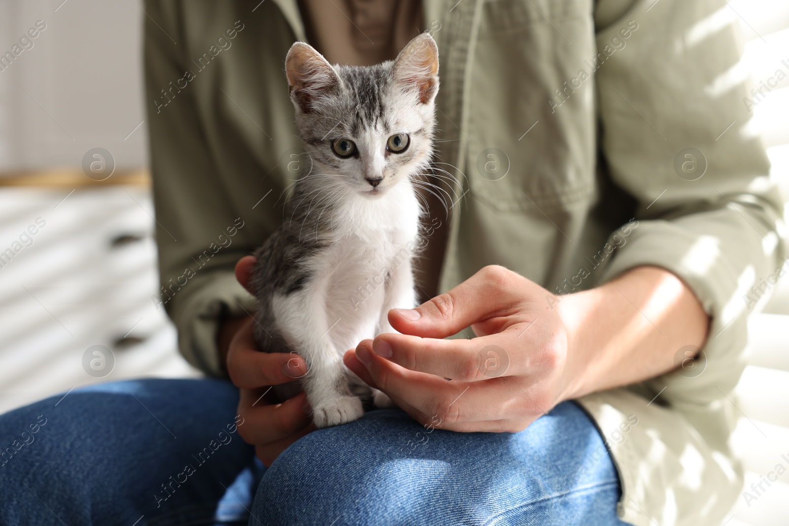 Photo of Man with cute kitten at home, closeup