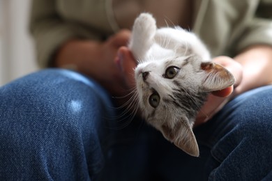 Photo of Man with cute kitten at home, closeup