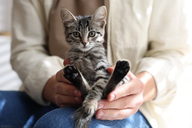 Man with cute kitten at home, closeup