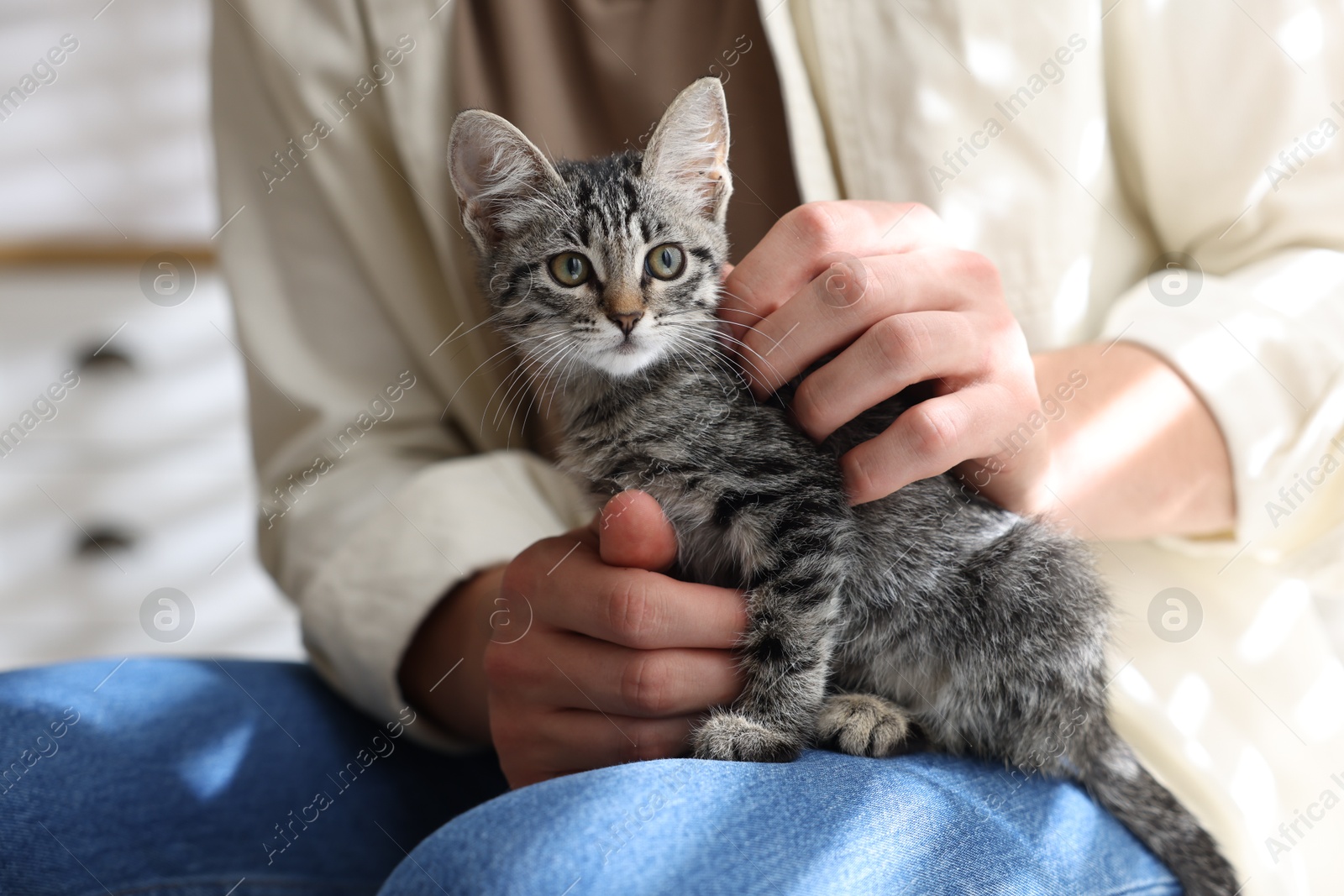 Photo of Man with cute kitten at home, closeup