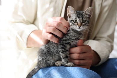 Man with cute kitten at home, closeup