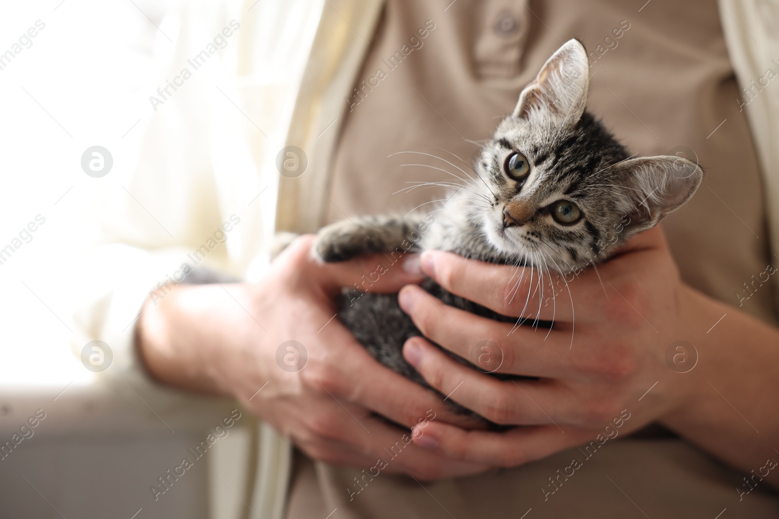 Photo of Man with cute kitten at home, closeup