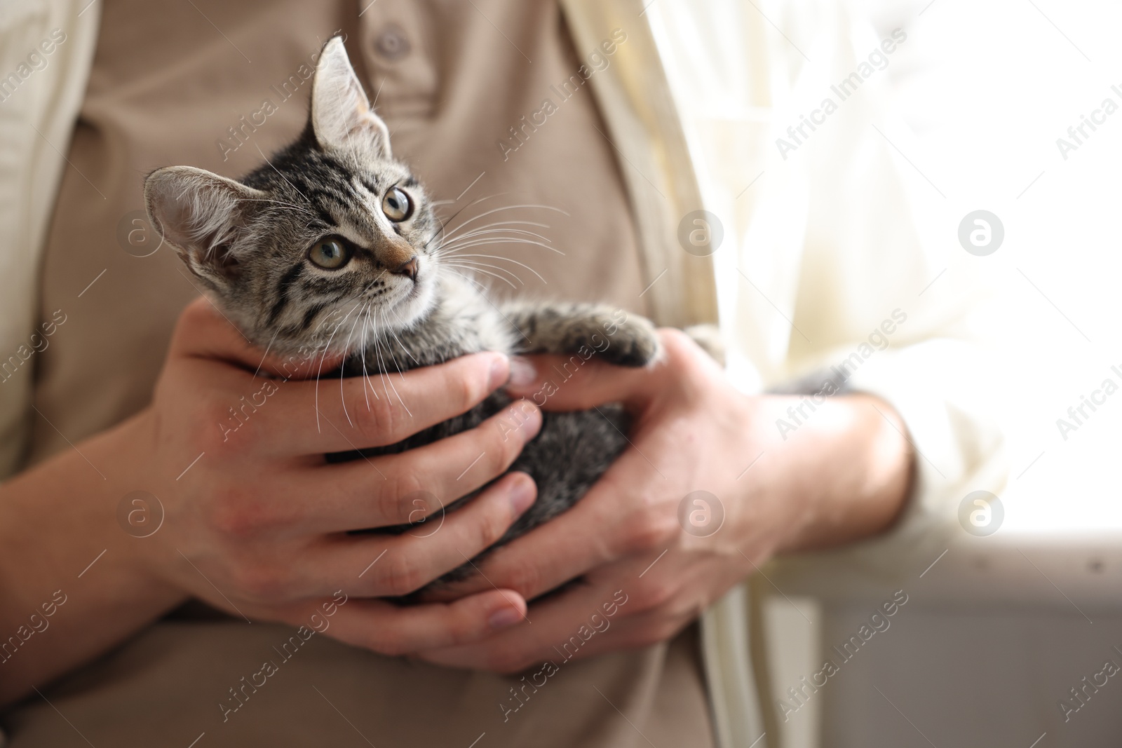 Photo of Man with cute kitten at home, closeup