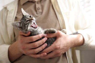 Photo of Man with cute kitten at home, closeup