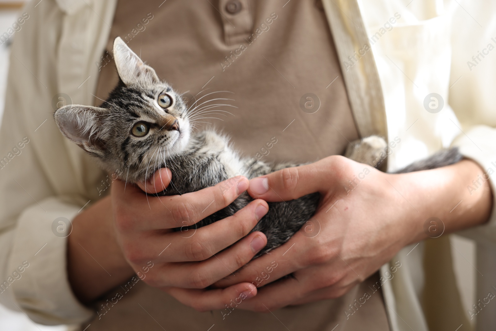 Photo of Man with cute kitten at home, closeup