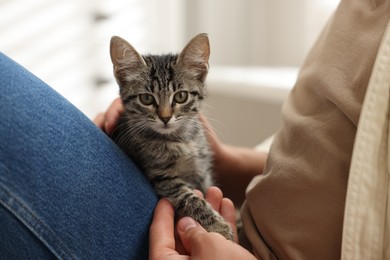 Man with cute kitten at home, closeup