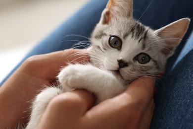 Man with cute kitten at home, closeup