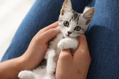 Photo of Man with cute kitten at home, closeup