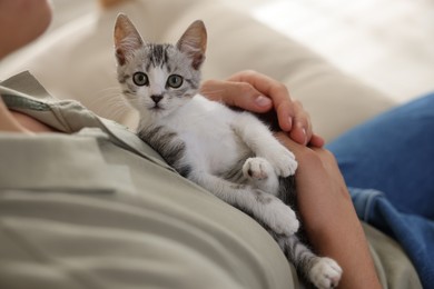 Photo of Man with cute kitten at home, closeup