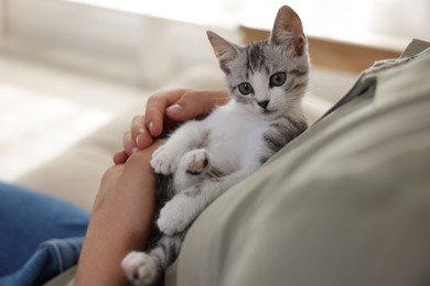 Man with cute kitten at home, closeup