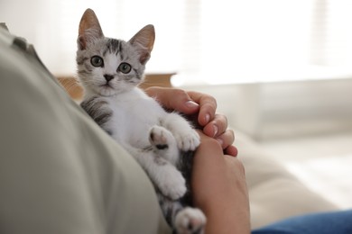 Man with cute kitten at home, closeup