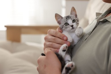 Photo of Man with cute kitten at home, closeup