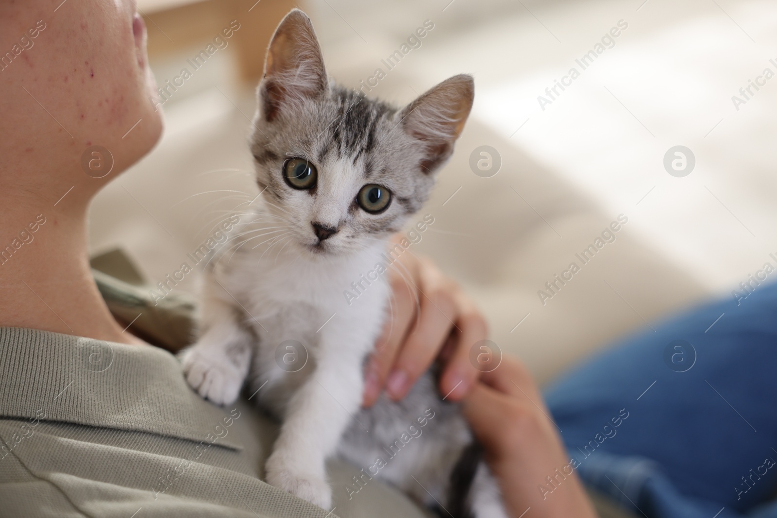 Photo of Man with cute kitten at home, closeup