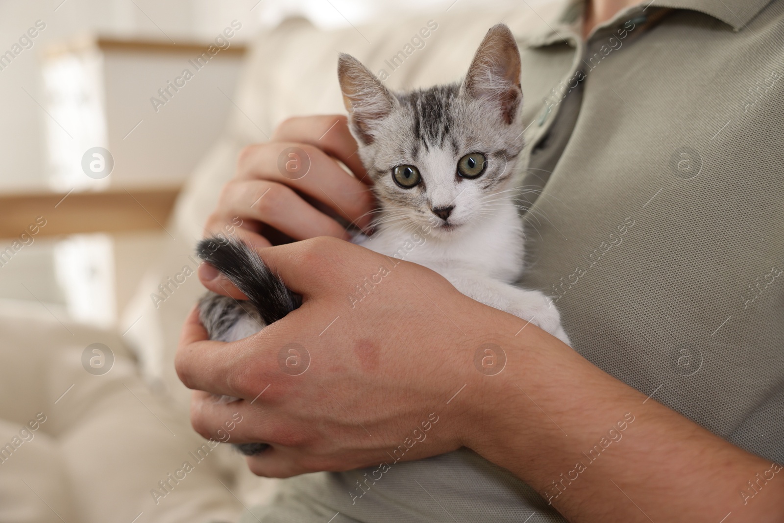 Photo of Man with cute kitten at home, closeup