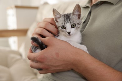 Photo of Man with cute kitten at home, closeup