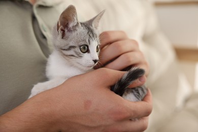 Man with cute kitten at home, closeup