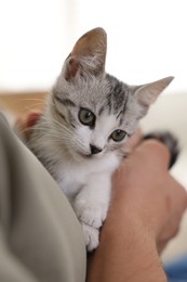 Man with cute kitten at home, closeup